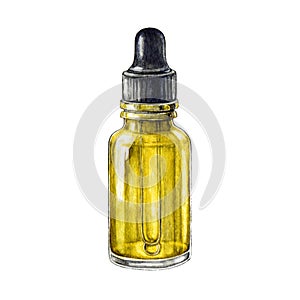 Glass bottle with dropper watercolor illustration. Small bottle with oil, serum, liquid inside for cosmetic or treatment