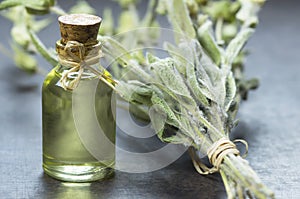 Glass bottle of essential sage tea with dry sage leaves on wooden rustic background