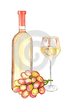 Glass and bottle filled with white wine and branch of pink grapes