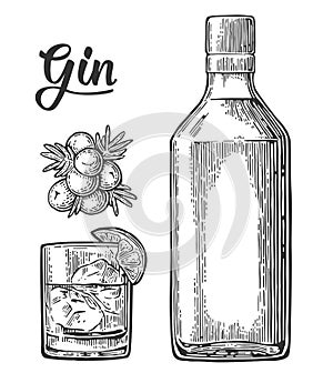 Glass and bottle of gin and branch of Juniper with berries