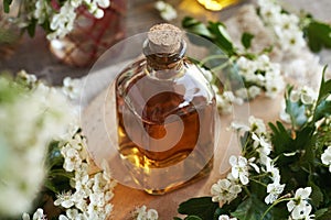 A glass bottle of herbal tincture with fresh hawthorn or Crataegus laevigata flowers