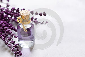 Glass bottle of Lavender essential oil with dried lavender flowers and seeds on white table