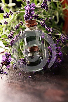 Glass bottle of Lavender essential oil with fresh lavender flowers for healthy aromatherapy spa massage concept on table