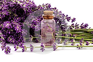 Glass bottle of Lavender essential oil with fresh lavender flowers on white background, aromatherapy spa massage concept. Lavender