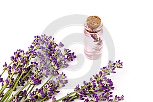 Glass bottle of Lavender essential oil with fresh lavender flowers on white background, aromatherapy spa massage concept. Lavender