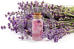 Glass bottle of Lavender essential oil with fresh lavender flowers on white background, aromatherapy spa massage concept. Lavender