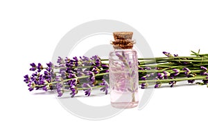 Glass bottle of Lavender essential oil with fresh lavender flowers on white background, aromatherapy spa massage concept. Lavender