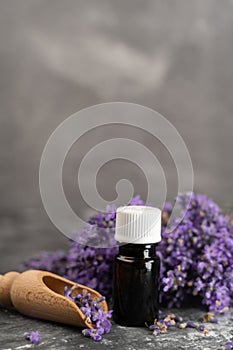 Glass bottle of Lavender essential oil with wooden scoop of lavender flowers on wooden scoop, aromatherapy spa massage