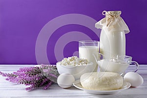 Glass and a bottle of milk, a plate of cottage cheese, cheese, white raw eggs, sour cream in a gravy boat, lilac lavender flowers