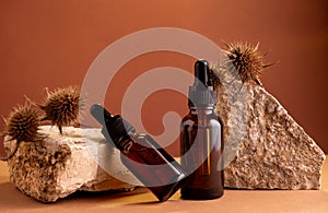 Glass bottle with moisturizing oil on  background of stones and thorns. Natural cosmetics for dry skin concept