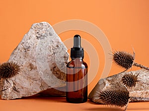 Glass bottle with moisturizing oil on  background of stones and thorns. Natural cosmetics for dry skin concept