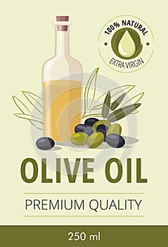 Glass bottle of olive oil and olives with leaves.  Packaging for olive oil bottles.