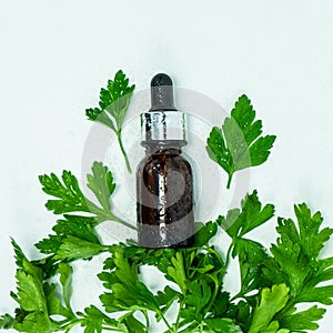 Glass bottle of parsley essential oil with a fresh bunch of parsley, green vegetable oil concept, healthy nutrition.