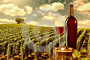 Glass and bottle of red wine against vineyard landscape