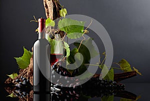 Glass and bottle of red wine with blue grapes and vine branches