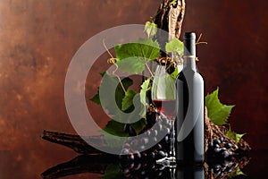 Glass and bottle of red wine with blue grapes and vine branches