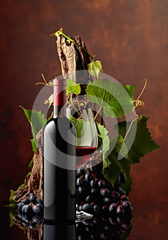 Glass and bottle of red wine with blue grapes and vine branches