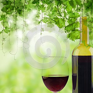 Glass and Bottle of red wine in vineyard on green vineyard background