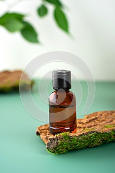 Glass bottle with tea tree essential oil standing on the bark of a tree. Cosmetic essence. Fresh green branches and