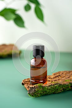 Glass bottle with tea tree essential oil standing on the bark of a tree. Cosmetic essence. Fresh green branches and