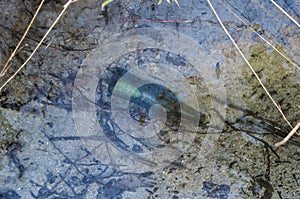 Glass bottle under water in the river. Problem concept