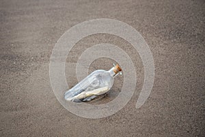 Glass bottle washed up on the beach, with a note inside