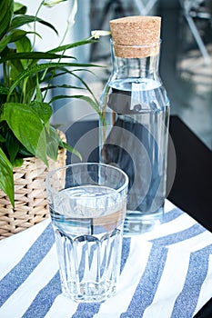 A glass and bottle of water, green plant in a pot on the table. Beautiful fresh background