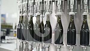 Glass bottles on the automatic conveyor line at the champagne or wine factory. Plant for bottling alcoholic beverages.