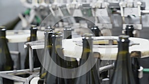 Glass bottles on the automatic conveyor line at the champagne or wine factory. Plant for bottling alcoholic beverages.