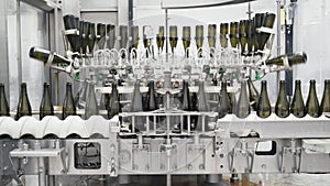 Glass bottles on the automatic conveyor line at the champagne or wine factory. Plant for bottling alcoholic beverages.