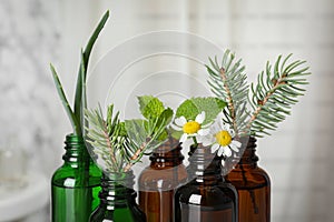 Glass bottles of different essential oils with plants against blurred background