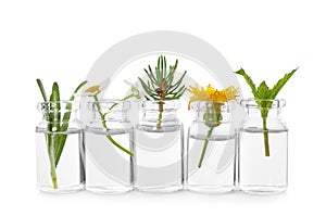 Glass bottles of  essential oils with plants on white background