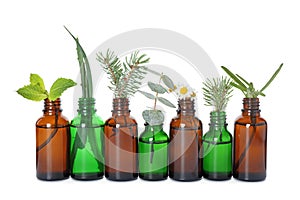 Glass bottles of different essential oils with plants on white