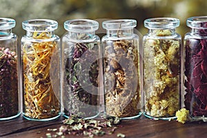Glass bottles of dry medicinal herbs - heather, calendula, wild marjoram, daisies, helichrysum, rose petals. photo