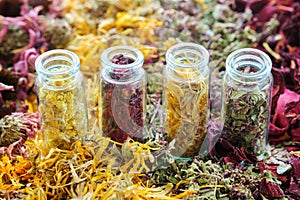 Glass bottles of medicinal herbs - helichrysum, rose petals, calendula, wild marjoram. Dry plants, herbs and flowers on table.