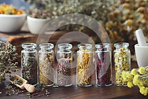 Glass bottles of medicinal herbs - wild marjoram, daisies, heather, calendula, rose petals, helichrysum, bunches of dry plants, photo