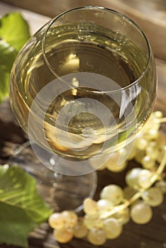 Glass of Bourgogne white wine