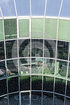 Glass building facade reflecting plants and blue sky