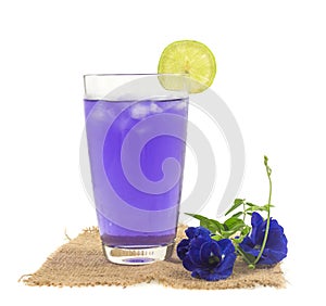 Glass of butterfly pea flower juice on white background