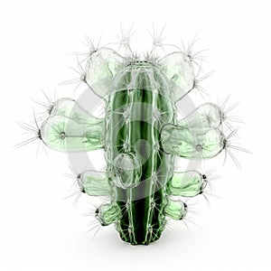 Glass Cactus X-ray: 3d Rendering In The Style Of Michael Wesely