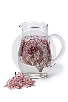 Glass can with cold pink elderberry blossom drink