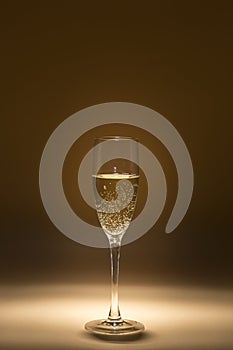 Glass of cava in the dark, flavors in privacy