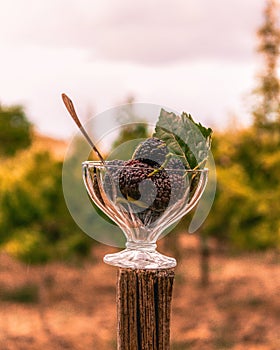 Glass chalice containing mulberries on pole outdoors