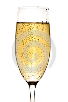Glass of champagne