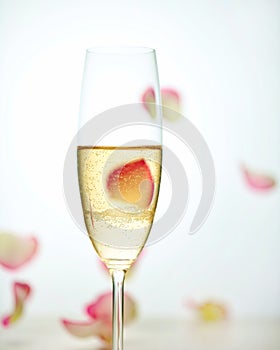 Glass of champagne and falling rose petals