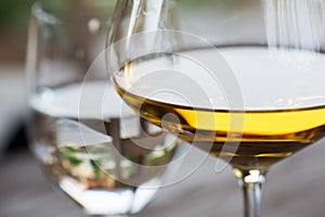 Glass of Chardonnay White Wine Close Up