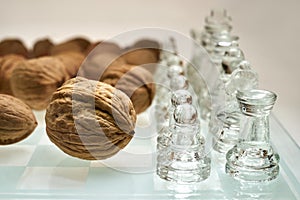 Nuts improve brain efficiency visualization - chess, chessboard with nuts