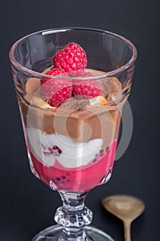 Glass of chocolate and rapsberry dessert