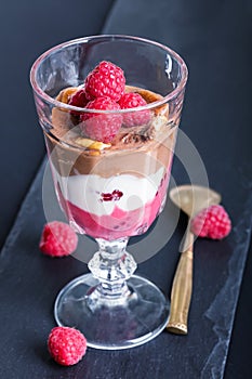 Glass of chocolate and rapsberry dessert