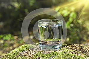 Glass of clean fresh water with lemon on tree stump with moss against green natural background. Spring ecologically pure water.